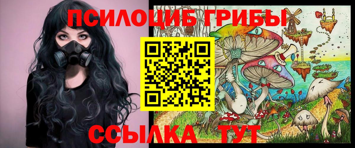 Галлюциногенные грибы мицелий Кубинка